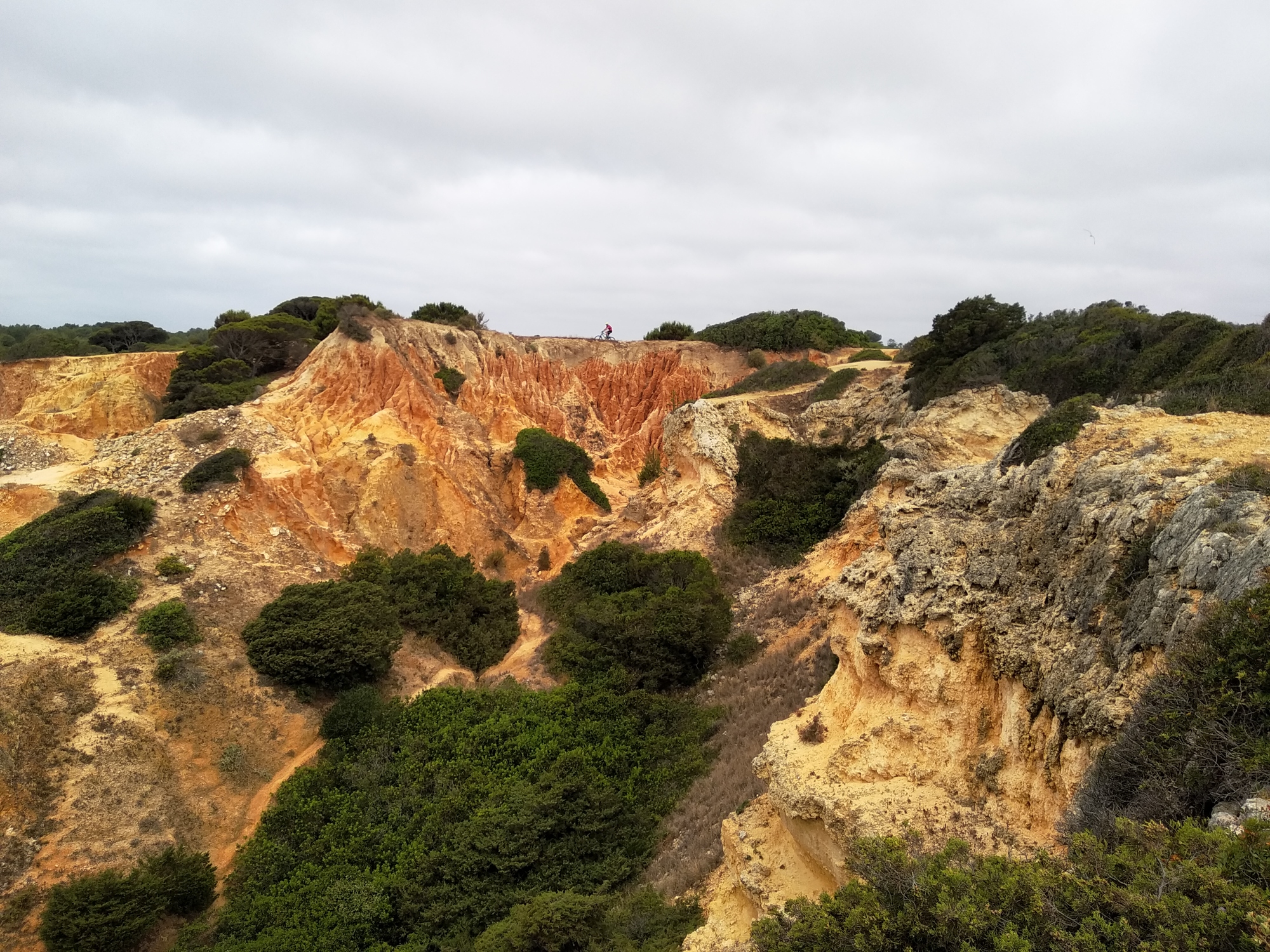 Seven Hanging Valleys Trail — photo 4
